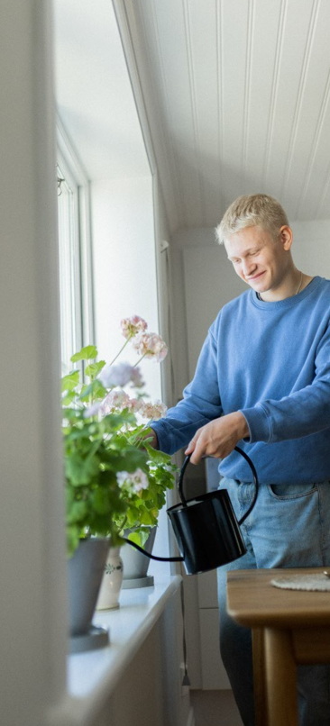 Ung man vattnar pelargoner i ett fönster